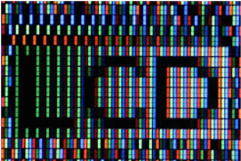 Liquid Crystal Display Technology manufactured by Xenarc Technologies